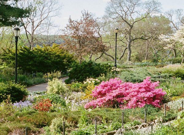 Cloisters Floral Mixture