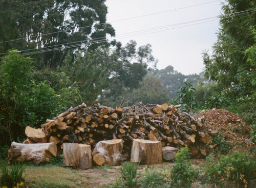 Corridor June Playlist + Coonoor Side Trip