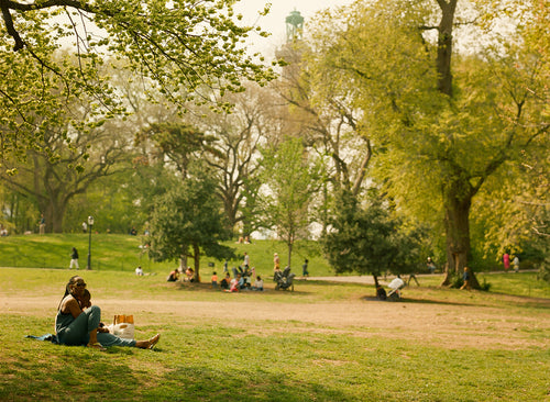 Photo Walk In Ft. Greene Park