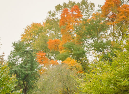 November Playlist + Mood